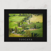 Cypress route sinueuse en Toscane carte postale no (Devant)