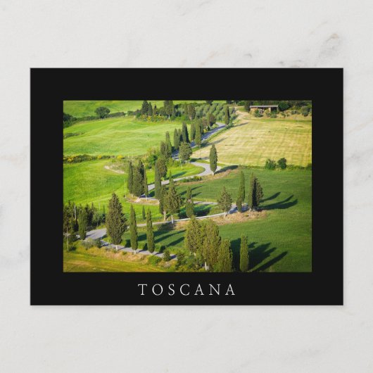 Cypress route sinueuse en Toscane carte postale no (Devant)