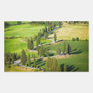 Cypress route sinueuse, Toscane autocollant rectan