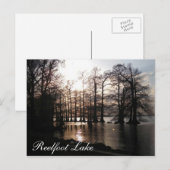 Cypress Sunset bij Reelfoot Briefkaart (Voorkant / Achterkant)