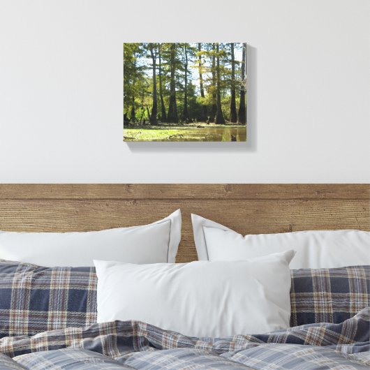 Cypress Swamp Landschap Canvas Afdruk (Insitu (Slaapkamer))