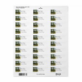Cypress Swamp Landschap Etiket (Full Sheet)