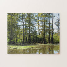 Cypress Swamp Landschap