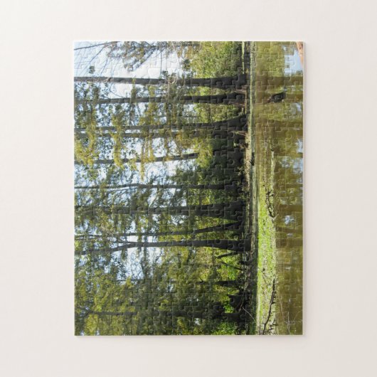 Cypress Swamp Landschap Legpuzzel (Verticaal)