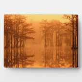 Cypress Trees George Smith State Park Fotoplaat (voorkant)