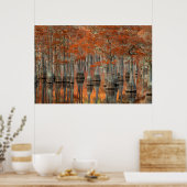 Cypress Trees | George Smith State Park, Georgia Poster (Keuken)
