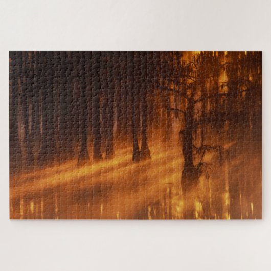 Cypress Trees | George Smith State Park Legpuzzel (Horizontaal)