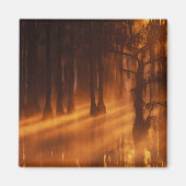 Cypress Trees | George Smith State Park Magneet (Voorkant)