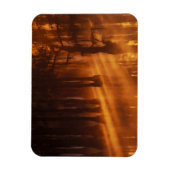 Cypress Trees | George Smith State Park Magneet (Verticaal)