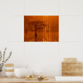 Cypress Trees | George Smith State Park Poster (Keuken)