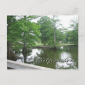 Cypress Trees op het meer van Reelfoot Briefkaart (Voorkant)