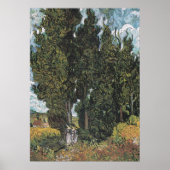 Cypress Trees van het Poster Van Gogh (Voorkant)