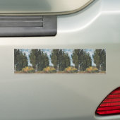 Cypress Trees van Van Gogh Bumpersticker (Op auto)