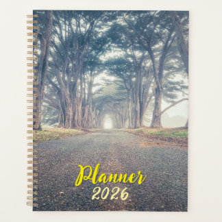 Cypress Tunnel Landscape