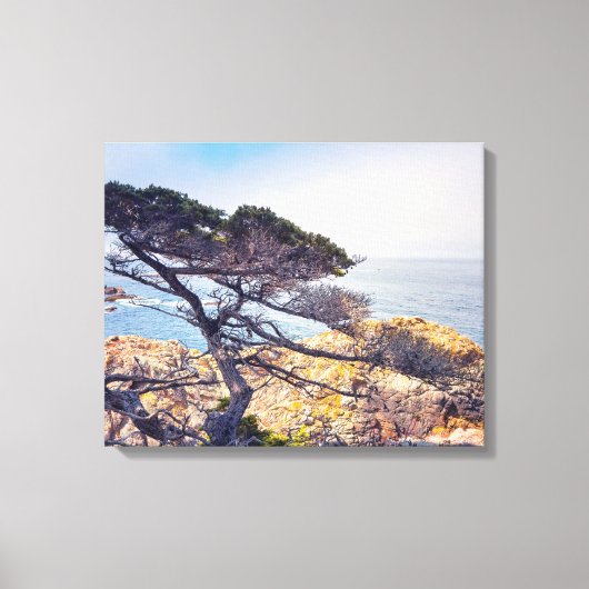 Cypress van het Zee Canvas Afdruk (Voorkant)