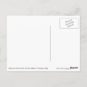 Cypress-wikkelweg, Toscaanse tekst briefkaart (Achterkant)