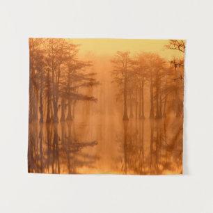 Cypressbomen George Smith State Park Wandkleed