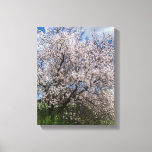Cypriotische natuur landschapsveer almond beautif canvas afdruk