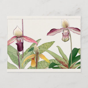 Cypripedium door Tanigami Konan Briefkaart