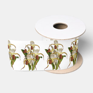  Cypripedium Stonei Orchidee Flower Lint