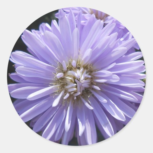 Cyreen Ronde Sticker (Voorkant)