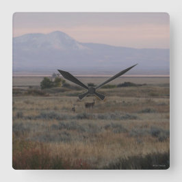 D10 Wit-gerooide Duifgras Hills Vierkante Klok