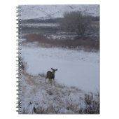 D16 Mule Deer Doe in de vallei Notitieboek (Voorkant)