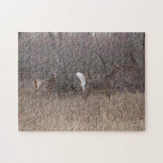 D1 Witstaart Reeën Lente Bokken Legpuzzel (Horizontaal)