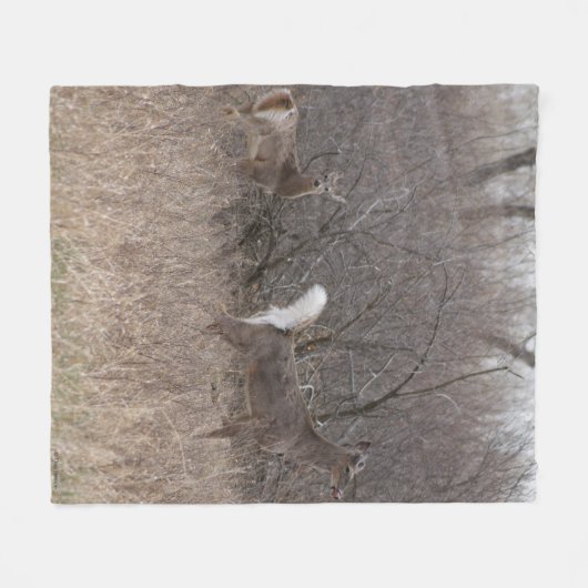 D1 Witstaartdeer Spring Bucks in penseel Fleece Deken (Voorkant (Horizontaal))