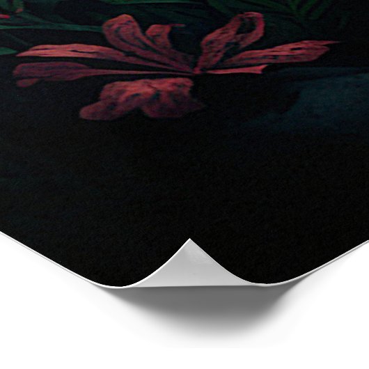 D20 De Tranquility Poster (Hoek)