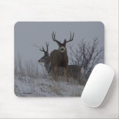D21b Mule Deer Bucks Muismat (Met muis)