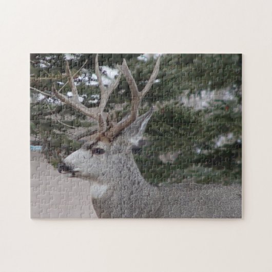 D25 Mule Deer Buck Legpuzzel (Horizontaal)