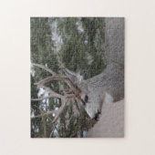 D25 Mule Deer Buck Legpuzzel (Verticaal)