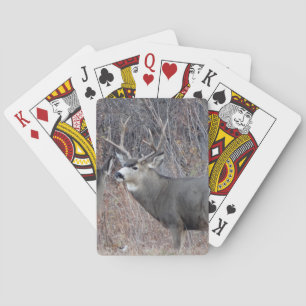 D29 Muildierbok Pokerkaarten
