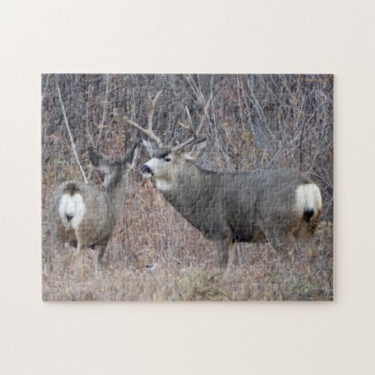 D29 Mule Deer Buck en Doe Legpuzzel (Horizontaal)
