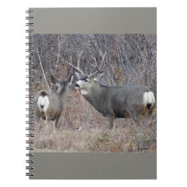D29 Mule Deer Buck en Doe Notitieboek