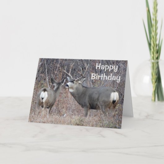 D29 Mule Deer Kaart (Voorkant)