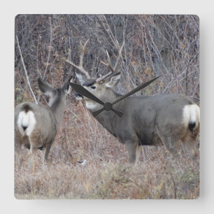 D29 Mule Deer Vierkante Klok