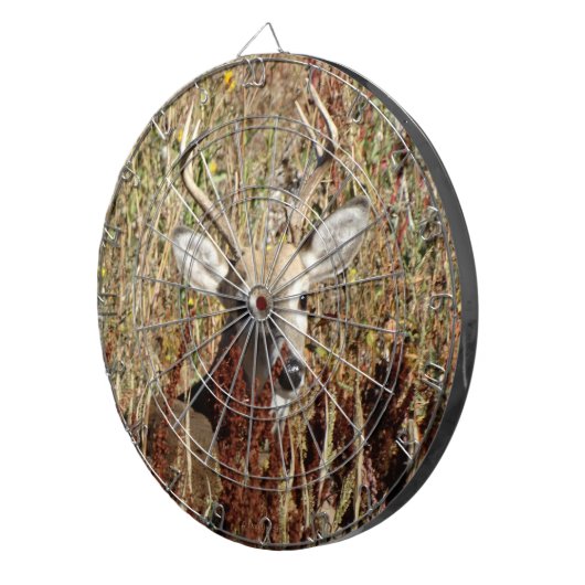 D31 Witstaartbier in het onkruid Dartbord (Voorkant Rechts)