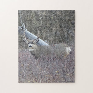 D32 Muildierbok Legpuzzel