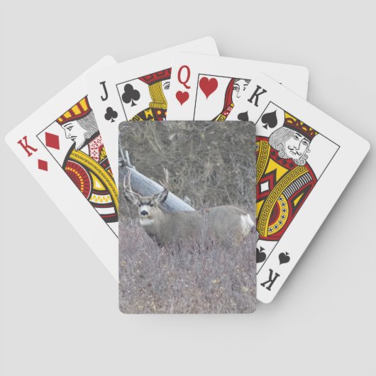 D32 Muildierbok Pokerkaarten (Achterkant)