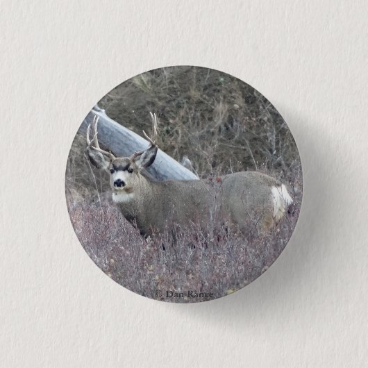 D32 Muildierhert Ronde Button 3,2 Cm (Voorkant)