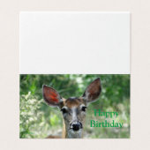 D33 Carte d'anniversaire de Deer Doe à queue blanc (Outside Unfolded)