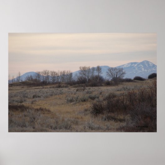 D4 Muildier Sweet Grass Hills Poster (Voorkant)