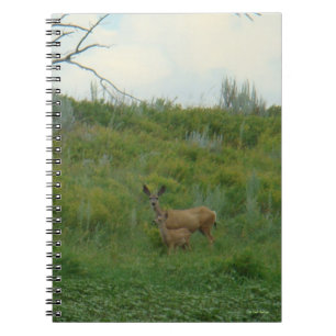 D5 Muildier en jong Notitieboek