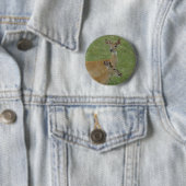 D6 Witstaartdeer Spring Bucks Ronde Button 5,7 Cm (In situ)