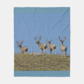 D9 Mule Deer Bucks in Velvet Sky Fleece Deken (Voorkant)