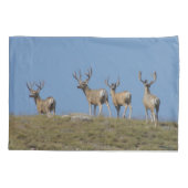 D9 Mule Deer Bucks in Velvet Sky Kussensloop (Achterkant)