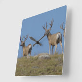 D9 Mule Deer Bucks in Velvet Sky Vierkante Klok (Hoek)