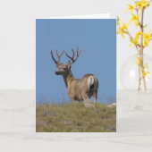 D9a de Bok van de Herten van de Muilezel in Kaart (Gele Bloem)